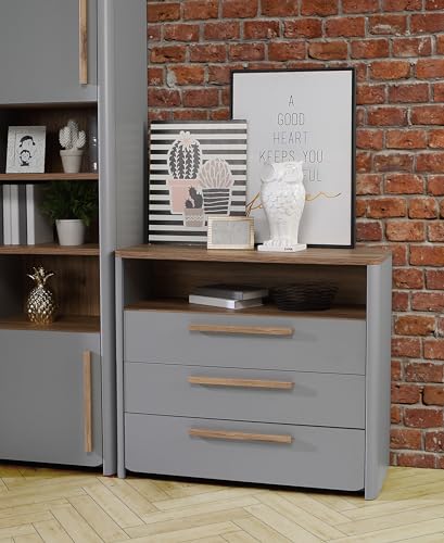 Forte SURFINIO Kommode mit 3 Schubladen, Holzwerkstoff, Catania Eiche/Grau, B x H x T: 98,9 x 85,9 x 41,3 cm von Forte