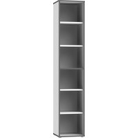 FORTE Aktenregal "Keflav", Breite 44,8 cm von Forte