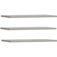 FORTE Einlegeboden Einlegeböden 2,2 cm Stärke, optional bestellbar, 3er Set von Forte