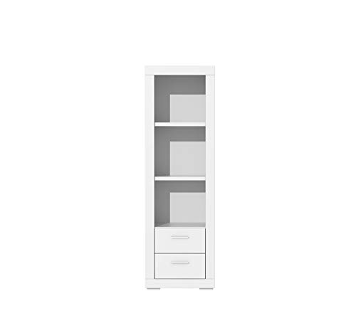 FORTE Snow Regal mit 2 Schubladen, Holzwerkstoff, Weiß Matt, 61 x 198,4 x 41,7 cm von Forte