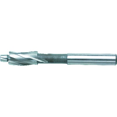 Flachsenker HSS DIN 373 M M12 Flachsenker HSS DIN 373 M M12 von Fortis