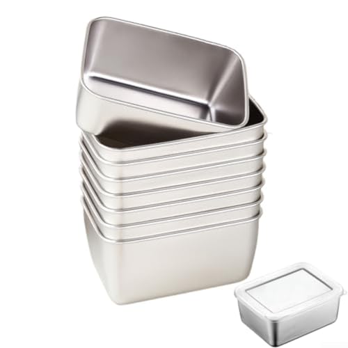 10 Stück Edelstahl-Aufbewahrungsbehälter, kleine wiederverwendbare Frischhaltedosen mit auslaufsicheren Deckeln, zum Einfrieren von Lebensmitteln, Mahlzeitenvorbereitung oder Großlagerung von FortunateSweet