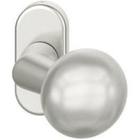 FSB - PT-Türknopf, 070846, a.Ros.ov.Alu+9016 von FSB