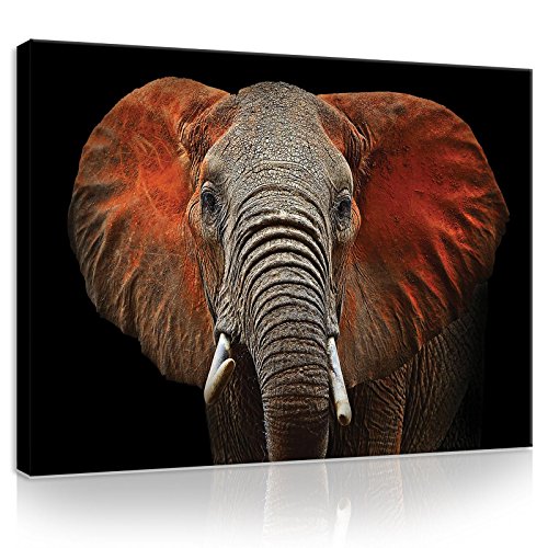 Forwall Bilder Canvas Elefant Afrika Tiere Modern Schlafzimmer Wohnzimmer Leinwandbilder Wandbild Kunstdruck Wandbilder Wand Bild auf Leinwand Aufhängefertig (11752, O1 (100 x 75 cm)) von Forwall