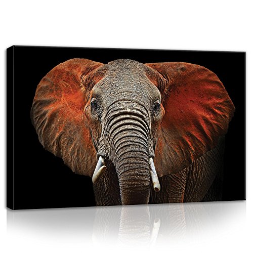 Forwall Bilder Canvas Elefant Afrika Tiere Modern Schlafzimmer Wohnzimmer Leinwandbilder Wandbild Kunstdruck Wandbilder Wand Bild auf Leinwand Aufhängefertig (11752, O4 (60 x 40 cm)) von Forwall