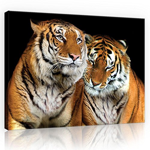 Forwall Bilder Canvas Tiger O1 (100cm. x 75cm.) Leinwandbilder Wandbild AMFPP10173O1 von Forwall