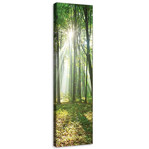 Forwall Bilder Canvas Wald in der Sonne O3 (45cm. x 145cm.) Leinwandbilder Wandbild AMFPP10329O3 von Forwall