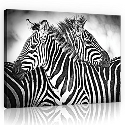 Forwall Bilder Canvas Zebra Weiss-Schwarz O1 (100cm. x 75cm.) Leinwandbilder Wandbild AMFPP10159O1 von Forwall