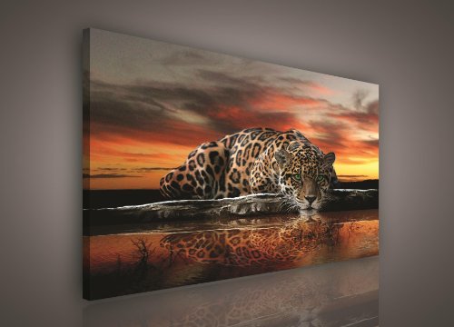 Forwall Leinwand Bilder Jaguar Afrika Safari Orange Tiere Modern Schlafzimmer Wohnzimmer Leinwandbilder groß Wandbild Kunstdruck Wandbilder Wand Bild auf Leinwand Aufhängefertig 100 x 75 cm von Forwall