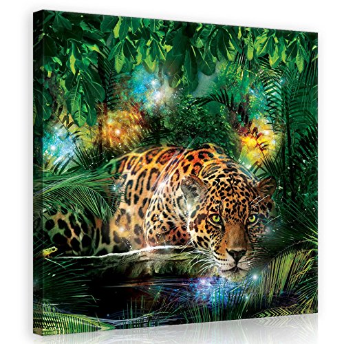 Forwall Bilder Jaguar Dschungel Tiere Modern Schlafzimmer Wohnzimmer Leinwandbilder Wandbild Kunstdruck Wandbilder Wand Bild auf Leinwand Aufhängefertig (10212, O2 (80 x 80 cm)) von Forwall