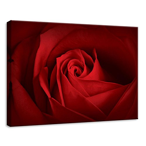 Forwall - Leinwand Bilder - Blumen Rosa Rosen Rot - 70x50 cm Leinwandbilder - Bild auf leinwand - Wandbild XXL groß Wandbilder für Wohnzimmer Schlafzimmer Wohnzimmerbilder Modern kunstdruck von Forwall