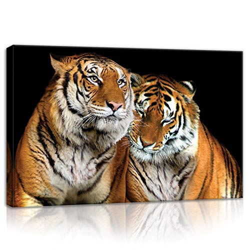 Forwall Bilder Tiger Afrika Tiere Modern Schlafzimmer Wohnzimmer Leinwandbilder Wandbild Kunstdruck Wandbilder Wand Bild auf Leinwand Aufhängefertig (21403, O4 (60 x 40 cm)) von Forwall