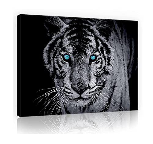 Forwall Bilder Tiger schwarz weiß Tiere Modern Schlafzimmer Wohnzimmer Leinwandbilder Wandbild Kunstdruck Wandbilder Wand Bild auf Leinwand Aufhängefertig (10202, O1 (100 x 75 cm)) von Forwall