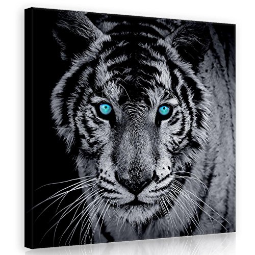 Forwall Bilder Tiger schwarz weiß Tiere Modern Schlafzimmer Wohnzimmer Leinwandbilder Wandbild Kunstdruck Wandbilder Wand Bild auf Leinwand Aufhängefertig (10202, O2 (80 x 80 cm)) von Forwall