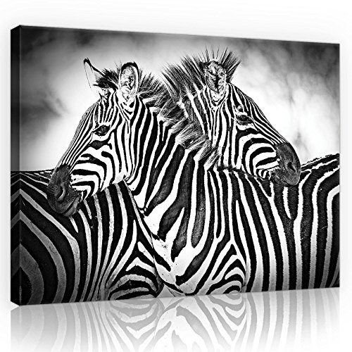 Forwall Bilder Zebra schwarze und weiße Tiere Modern Schlafzimmer Wohnzimmer Leinwandbilder Wandbild Kunstdruck Wandbilder Wand Bild auf Leinwand Aufhängefertig (10092, O7 (70 x 50 cm)) von Forwall