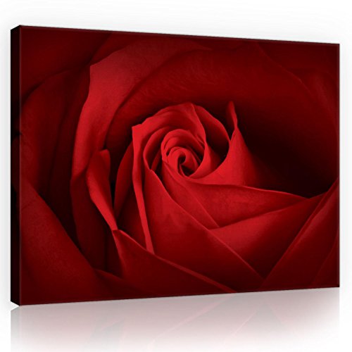 Forwall Canvas Bilder Blumen Rosen Rosa Modern Schlafzimmer Wohnzimmer Leinwandbilder Wandbild Kunstdruck Wandbilder Wand Bild auf Leinwand Aufhängefertig (10151, O4 (60 x 40 cm)) von Forwall