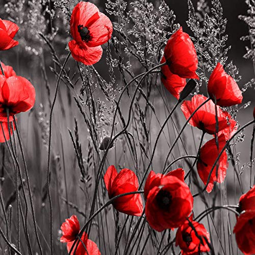 Forwall Fototapete Vlies - Tapete Moderne Wanddeko Mohnblumen VEXXL (312cm. x 219cm.) AMF11763VEXXL Wandtapete Design Tapete Wohnzimmer Schlafzimmer von Forwall