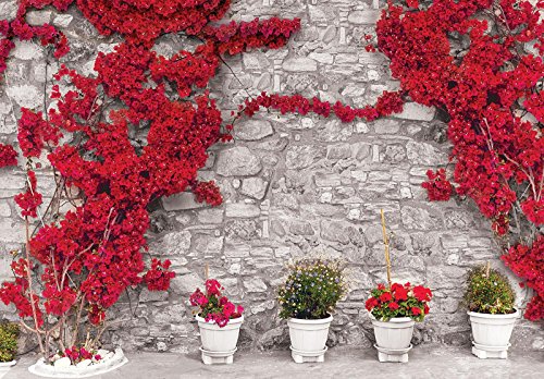 Forwall Fototapete Vlies Wanddeko Bougainvillea auf Steinmauer VEM (104cm. x 70,5cm.) AMF3582VEM Natur, Wald, Blumen von Forwall