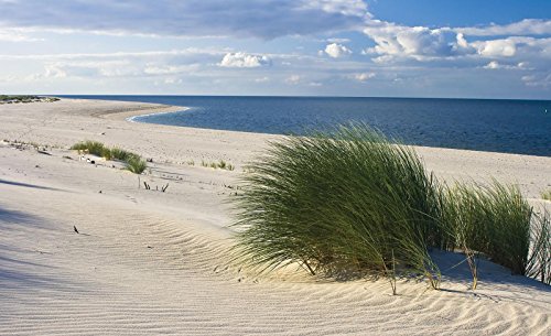 Forwall Fototapete Vlies Wanddeko Nordsee Strang VEXXXL (416cm. x 254cm.) AMF655VEXXXL Strand und Tropen von Forwall