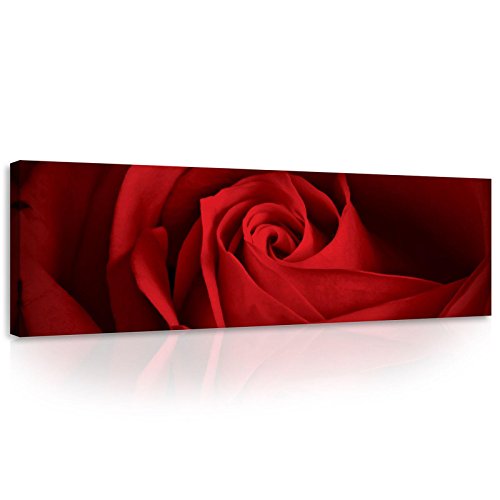 Forwall - Leinwand Bilder - Blumen Rosa Rosen Rot - 145x45 cm Leinwandbilder - Bild auf leinwand - Wandbild XXL groß Wandbilder für Wohnzimmer Schlafzimmer Wohnzimmerbilder Modern kunstdruck von Forwall
