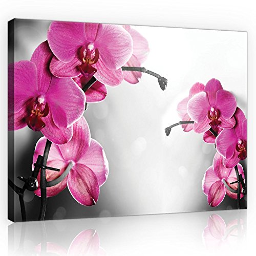 Forwall Leinwandbilder Orchidee Blumen 3D Modern Schlafzimmer Wohnzimmer Bilder Wandbild Kunstdruck Wandbilder Wand Bild auf Leinwand Aufhängefertig (10155, O1 (100 x 75 cm)) von Forwall