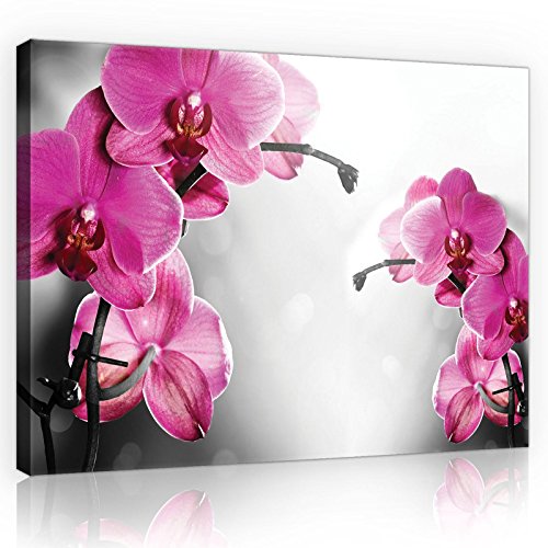 Forwall Leinwandbilder Orchidee Blumen 3D Modern Schlafzimmer Wohnzimmer Bilder Wandbild Kunstdruck Wandbilder Wand Bild auf Leinwand Aufhängefertig (10155, O4 (60 x 40 cm)) von Forwall