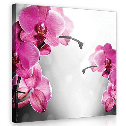 Forwall Leinwandbilder Orchidee Blumen 3D Modern Schlafzimmer Wohnzimmer Bilder Wandbild Kunstdruck Wandbilder Wand Bild auf Leinwand Aufhängefertig (10155, O5 (40 x 40 cm)) von Forwall