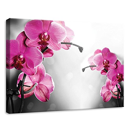 Forwall Leinwandbilder Orchidee Blumen 3D Modern Schlafzimmer Wohnzimmer Bilder Wandbild Kunstdruck Wandbilder Wand Bild auf Leinwand Aufhängefertig (10155, O7 (70 x 50 cm)) von Forwall