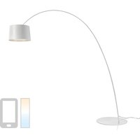 Foscarini Twiggy Elle MyLight Tunable White LED Terra, Abverkaufsware (OVP geöffnet) von Foscarini