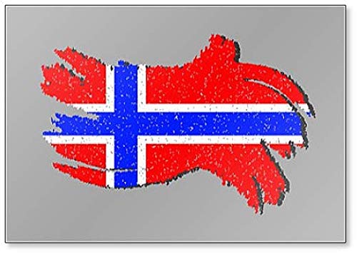 Grunge Flagge Norwegens Norwegen Fahne mit Schatten Illustration Kühlschrankmagnet von Foto Magnets