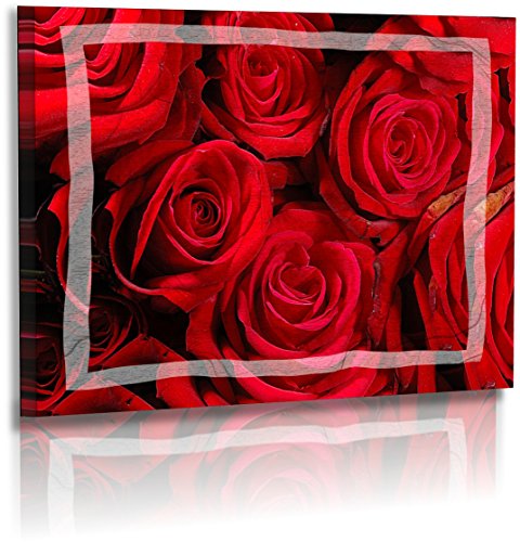 Premium - Leinwand - Rose - Naturbilder - Blumenfotos - Rot - Schwarz - Rosenbilder - Wandbilder XXL - Blume - Bild - Blumensträuße - Frühlingsblumen - Fotoleinwand - Leinwandbild (120 cm x 80 cm) von Fotoatelier Dirk Haas
