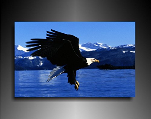 Fotoleinwand24 Bild auf Leinwand - Tiere Adler AA0628 / Bunt / 120x100 cm von Fotoleinwand24