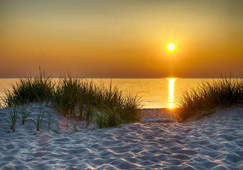 Forwall - Vlies Fototapete Sonnenuntergang Strand Meer Nordsee Natur Dünen 312x219 cm - Fototapeten - Tapeten - für Wohnzimmer Schlafzimmer - Vliestapete Wandtapete Tapete 3D Effekt- inkl. Kleister von Fototapete Consalnet