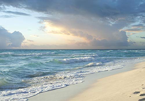 Forwall Fototapete Strand 3D Meer Nordsee Natur Himmel Wellen Wohnzimmer Schlafzimmer Vlies Tapete Wandtapete UV-Beständig Montagefertig (13037, V4 (254x184 cm) 2 Bahnen) von Fototapete Consalnet