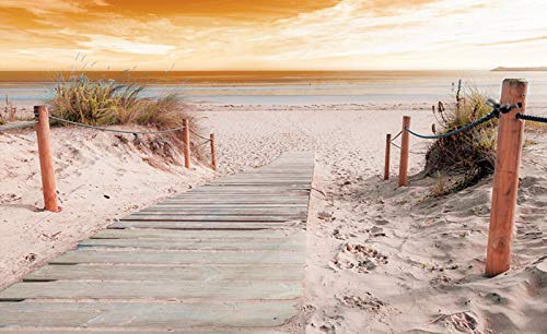Forwall Fototapete Strand 3D Meer Ostsee Natur Sand Dünen Landschaft Wohnzimmer Schlafzimmer Vlies Tapete Wandtapete UV-Beständig Montagefertig (2020, VEXXXL (416x254 cm) 4 Bahnen) von Fototapete Consalnet