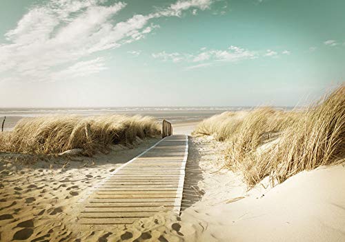 Forwall Fototapete Strand Meer Ostsee 3D EFFEKT Natur Dünen Landschaft Wohnzimmer Schlafzimmer Vlies Tapete Wandtapete UV-Beständig Montagefertig (11593, V8 (368x254 cm) 4 Bahnen) von Fototapete Consalnet