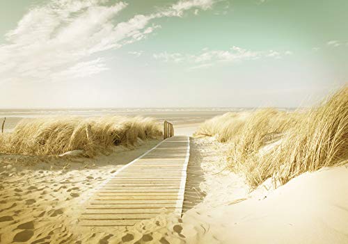 Forwall Fototapete Strand Meer Ostsee Gras beige Natur Dünen Landschaft Wohnzimmer Schlafzimmer Vlies Tapete Wandtapete UV-Beständig Montagefertig (11600, V4 (254x184 cm) 2 Bahnen) von Fototapete Consalnet