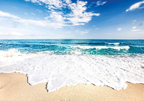 Forwall Fototapete Strand Meer Ostsee Natur Dünen Landschaft Wohnzimmer Schlafzimmer Vlies Tapete Wandtapete UV-Beständig Montagefertig (10218, V8 (368x254 cm) 4 Bahnen) von Fototapete Consalnet