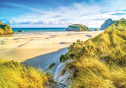 Forwall Fototapete Strand Meer Ostsee Natur Dünen Landschaft Wohnzimmer Schlafzimmer Vlies Tapete Wandtapete UV-Beständig Montagefertig (10248, V8 (368x254 cm) 4 Bahnen) von Fototapete Consalnet