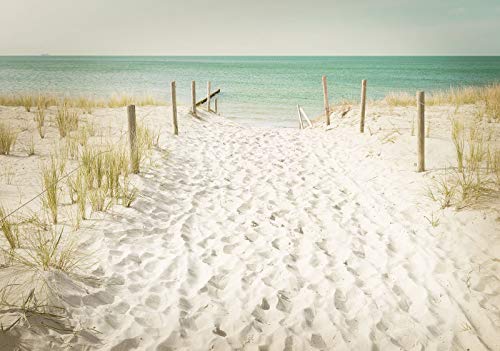 Forwall Fototapete Strand Meer Ostsee Sand Natur Landschaft Wohnzimmer Schlafzimmer Vlies Tapete Wandtapete UV-Beständig Montagefertig (11599, VEXXL (312x219 cm) 3 Bahnen) von WallArena