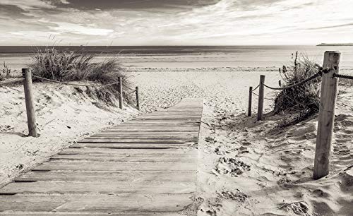 Forwall Fototapete Strand Meer Ostsee Natur Dünen Schwarz Weiß Wohnzimmer Schlafzimmer Vlies Tapete Wandtapete UV-Beständig Montagefertig (2024, VEXL (208x146 cm) 2 Bahnen) von Fototapete Consalnet