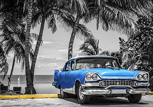 Forwall Fototapete Vlies Wanddeko Auto Oldtimer - Blau Strand Palmen Kuba Havanna Vliestapete Wand Tapete Moderne Wohnzimmer Schlafzimmer Wanddekoration 13335V8 368cm x 254cm von Fototapete Consalnet