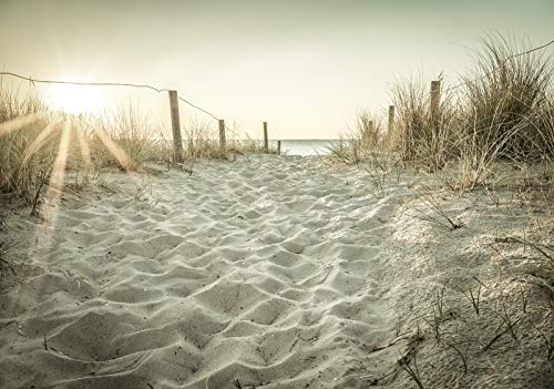 Forwall Fototapete Nordsee Strand Meer Natur Dünen Sonne Landschaft Wohnzimmer Schlafzimmer Vlies Tapete Wandtapete UV-Beständig Montagefertig (13345, V4 (254x184 cm) 2 Bahnen) von Fototapete Consalnet