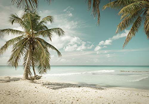 Forwall - Vlies Fototapete Strand Meer Sand Palmen Tropen Natur Landschaft 368x254 cm - Fototapeten - Tapeten - für Wohnzimmer Schlafzimmer - Vliestapete Wandtapete Tapete 3D Effekt- inkl. Kleister von Fototapete Consalnet