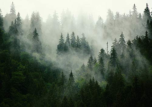 Forwall Fototapete Wald Nebel Natur Bäume Landschaft Skandinavisch Wohnzimmer Schlafzimmer Vlies Tapete Wandtapete UV-Beständig Montagefertig (13026, V4 (254x184 cm) 2 Bahnen) von Fototapete Consalnet