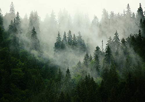 Forwall Fototapete Wald Nebel Natur Bäume Landschaft Skandinavisch Wohnzimmer Schlafzimmer Vlies Tapete Wandtapete UV-Beständig Montagefertig (13026, VEXXXXL (416x290 cm) 4 Bahnen) von Fototapete Consalnet