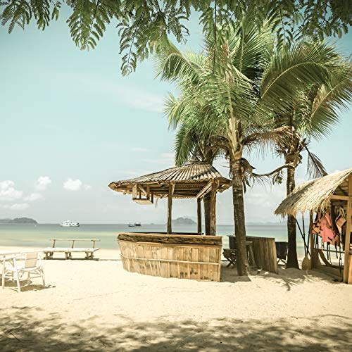 Forwall Fototapete Vliestapete Strand Sand Wohnzimmer Schlafzimmer Büro Latexdruck UV-Beständig Hohe Auflösung VEXXXL (416cm x 254cm.) von Fototapete Consalnet