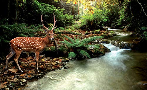 Forwall Fototapete Wald Hirsch Natur Bäume Landschaft Tiere Bach Wohnzimmer Schlafzimmer Vlies Tapete Wandtapete UV-Beständig Montagefertig (147, V4 (254x184 cm) 2 Bahnen) von Fototapete Consalnet