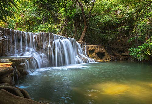 Forwall Fototapete Wald Wasserfall Natur Bäume Landschaft Tropen Wohnzimmer Schlafzimmer Vlies Tapete Wandtapete UV-Beständig Montagefertig (12114, VEXXXXL (416x290 cm) 4 Bahnen) von Fototapete Consalnet