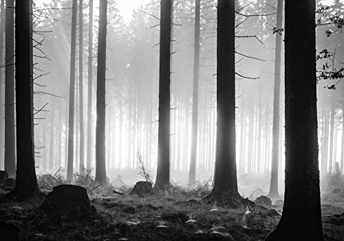 Forwall Fototapete Wald grau Nebel Natur Bäume Landschaft Moderne Wohnzimmer Schlafzimmer Vlies Tapete Wandtapete UV-Beständig Montagefertig (12067, V8 (368x254 cm) 4 Bahnen) von Fototapete Consalnet